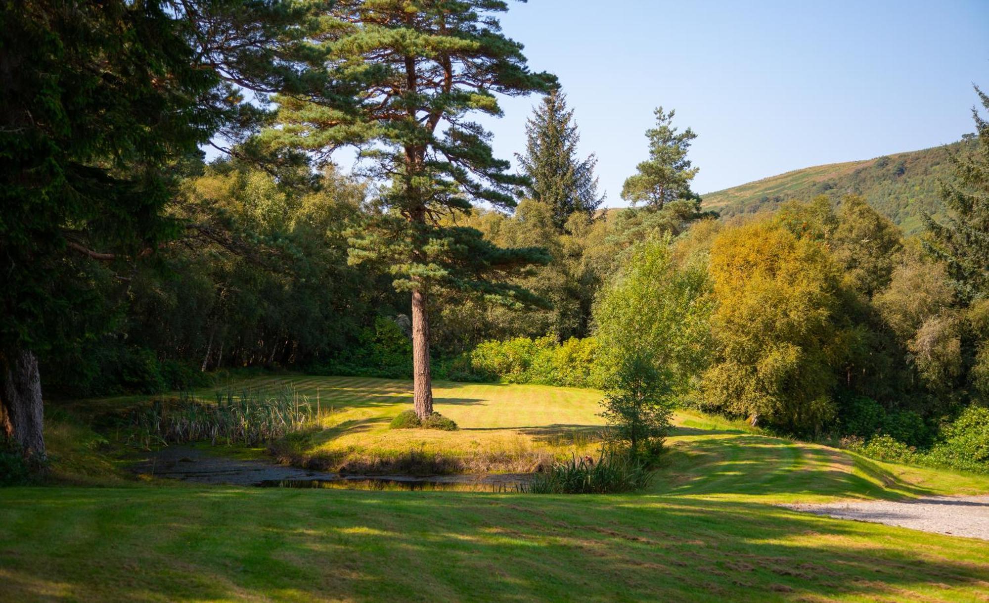 Inveroykel Lodge At Rosehall Kültér fotó